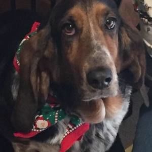 Meet your Posher, Pam